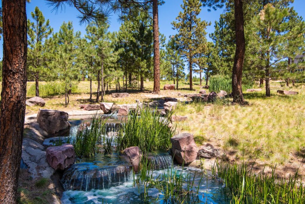 Stunning Colorado stream and small waterfall at The Lodge at Cathedral Pines event venue