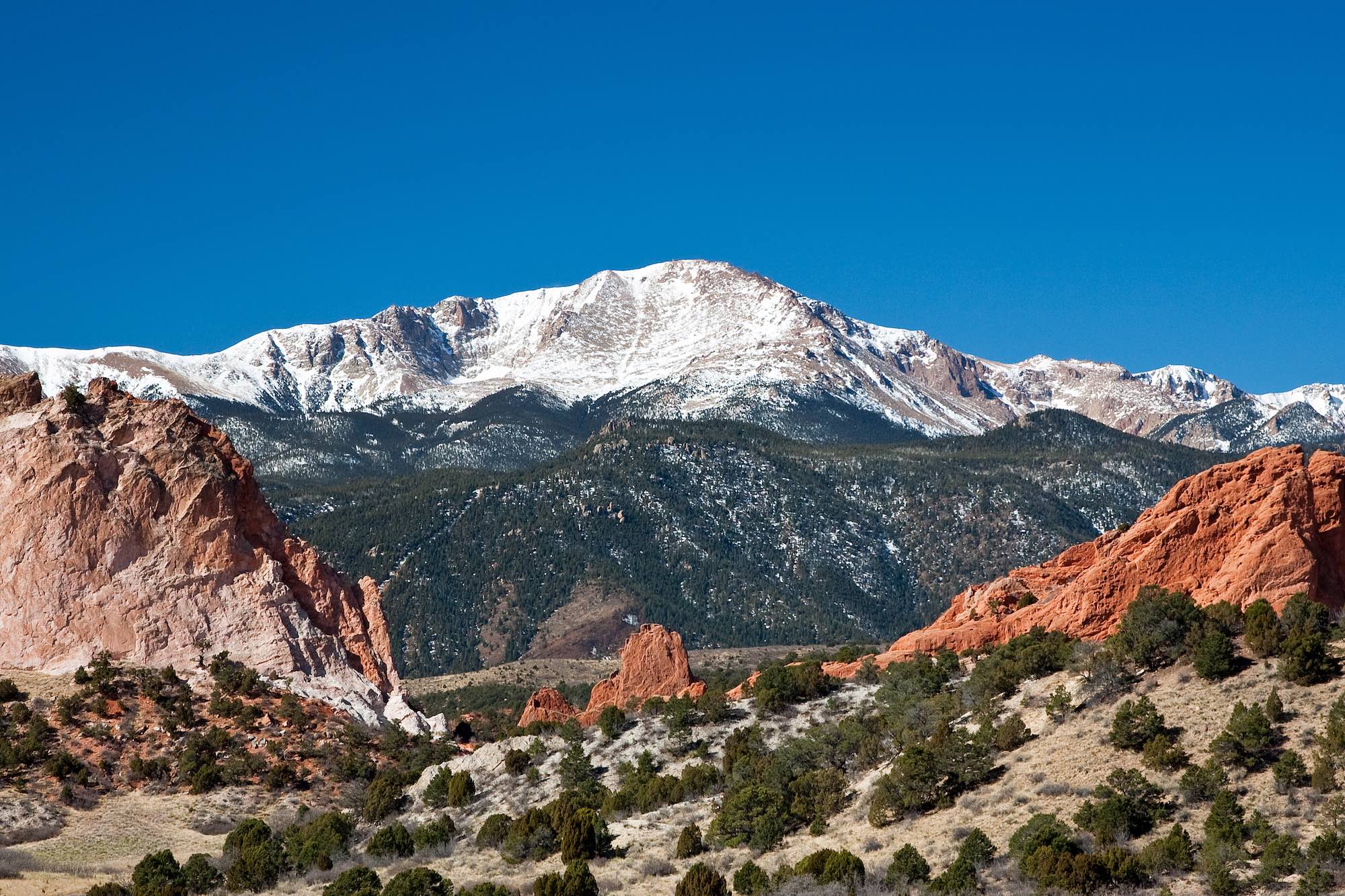 Rustic Wedding Venues Colorado Springs - Cathedral Pines