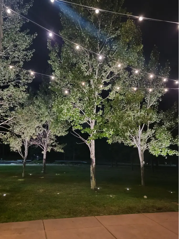 String lighting at The Lodge at Cathedral Pines 